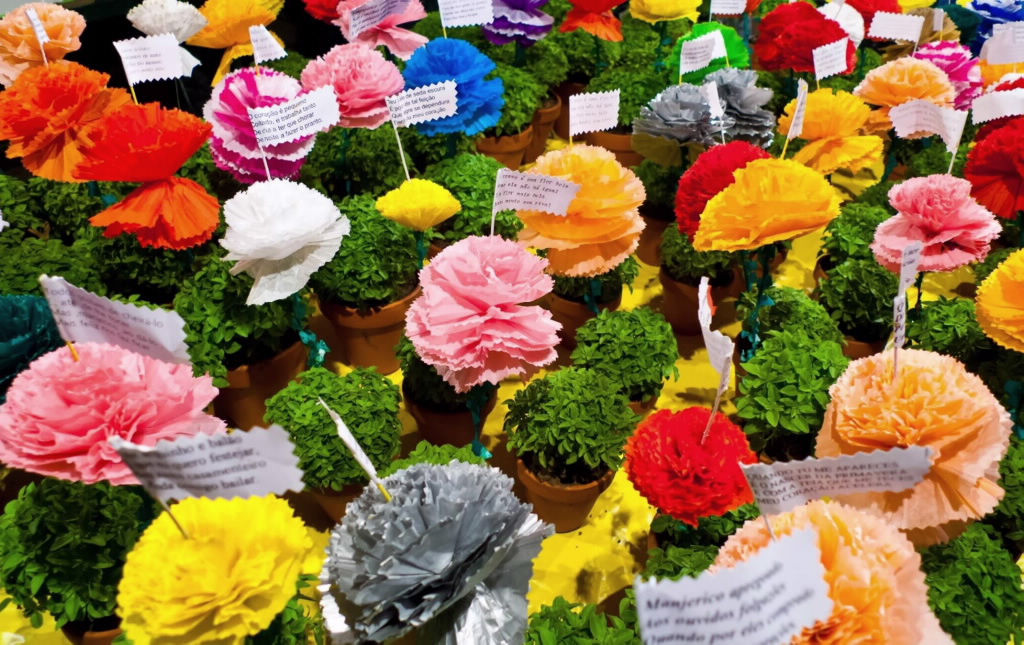 rosas de muchos colores